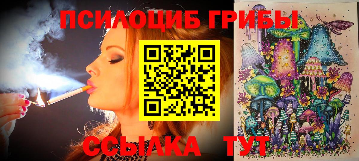 Зима  где продают   Вход с VPN  Псилоцибиновые грибы ЛСД 