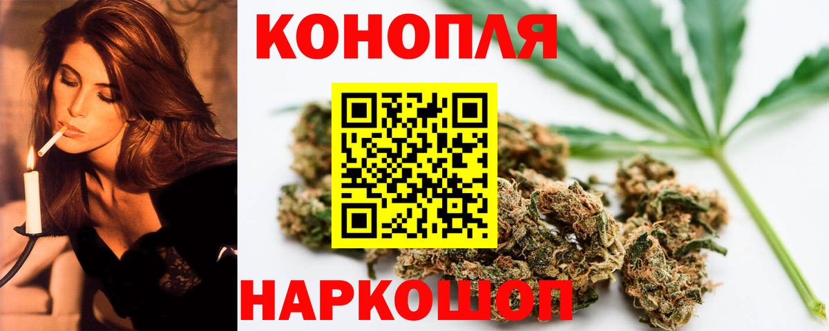 Каннабис планчик  Шишки марихуана планчик  Зима  Вход с VPN 